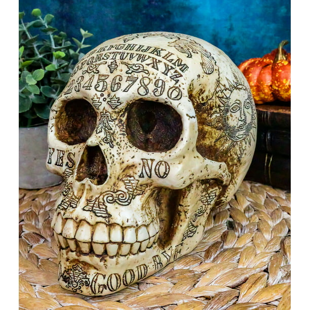Pacific Giftware Novelty Skull with Rolling Movable Eye Ball Gothic Collectible Halloween Decor Medium 